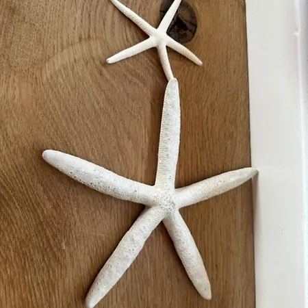 Kustwachttoren Torentje Lejlighed *